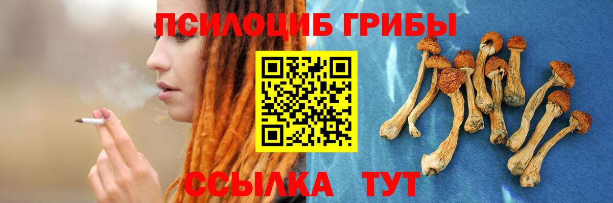 Галлюциногенные грибы Psilocybine cubensis  закладка  Фрязино  Вход с VPN 